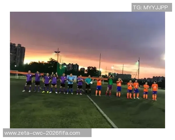 热血足球阵容解析打造最强球队策略与战术分享